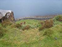IMG_5231 IMG_5231