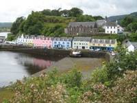 IMG_5260 IMG_5260