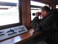IMG_5272 IMG_5272