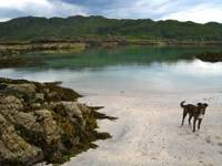 IMG_5423 IMG_5423