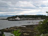 IMG_5441 IMG_5441