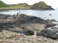IMG_5524 IMG_5524