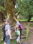 IMG_5619 IMG_5619
