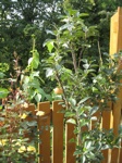 IMG_5751 IMG_5751