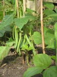 IMG_5752 IMG_5752